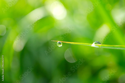 Macro Photo water drops on the green grass.Drops of dew in the morning glow in the sun. Beautiful leaf texture in nature. Fresh Natural background.Macro