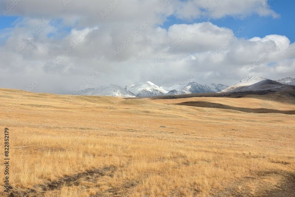 Hilly steppe with high dried grass against the backdrop of high snow-capped mountains on a sunny autumn day.