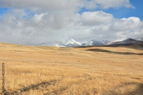 Hilly steppe with high dried grass against the backdrop of high snow-capped mountains on a sunny autumn day.