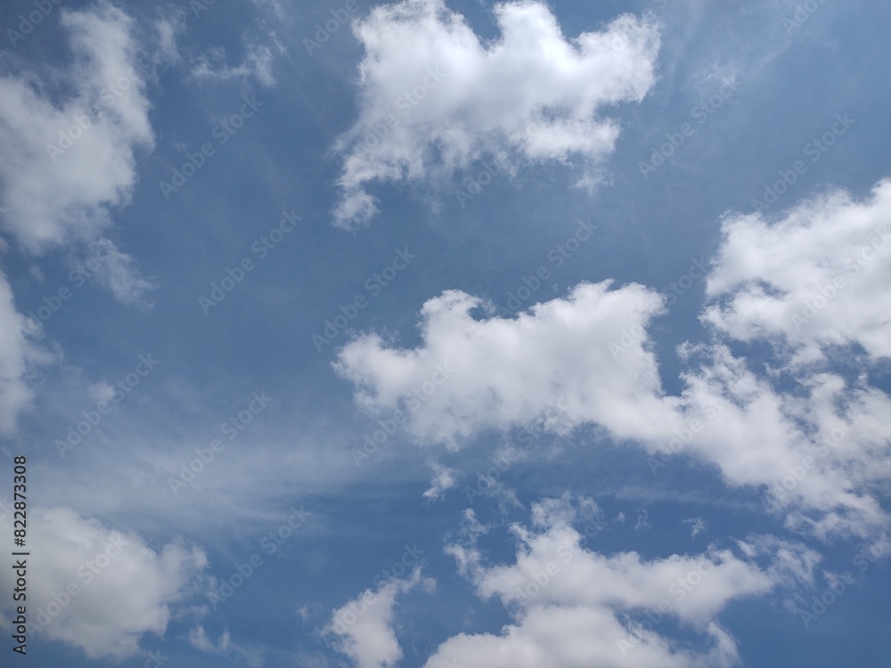 Obraz premium 東京のそら(24.5.22)