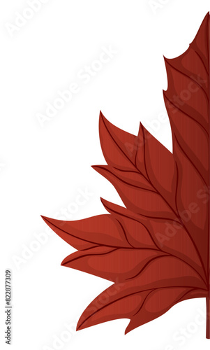 Close-up of half red maple leaf on white background, Vector illustration