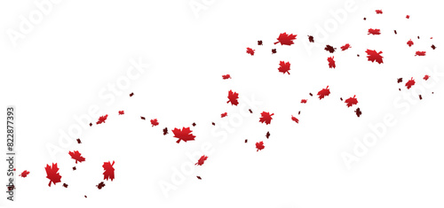 Soft wind with some red maple leaves, Vector illustration
