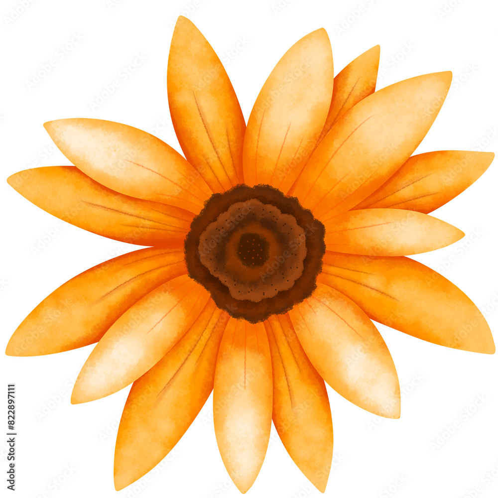 Sunflower beautiful blossom flower watercolor Sunflower beautiful blossom flower watercolor