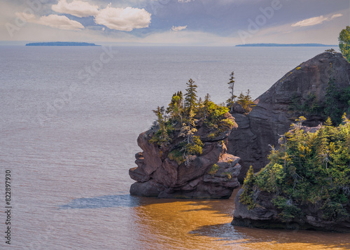 Hopewell Rocks Shoreline