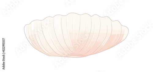 Illustration of a delicate light pink shell with a smooth texture, isolated on a white background. Ideal for nature and sea-themed designs.