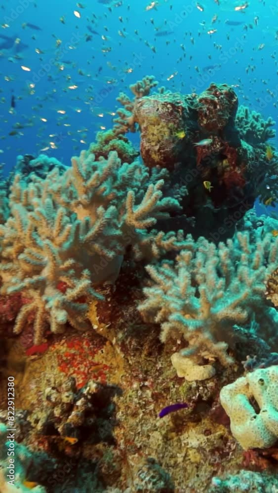 A coral reef with a variety of fish and plants. The reef is teeming with life and is a vibrant and colorful scene A coral reef with a variety of fish and plants. The reef is teeming with life and is a vibrant and colorful scene