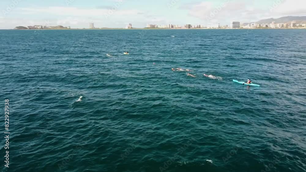 Group of swimmers on open sea during sunny day. Training for triathlon. Kayak following. Aerial orbit shot.