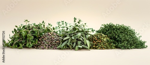 Assortment of Fragrant Dried English Seasoning Herbs in Minimalist Display with Soft Focus Oil Pastel Rendering on Plain Light Tan Background