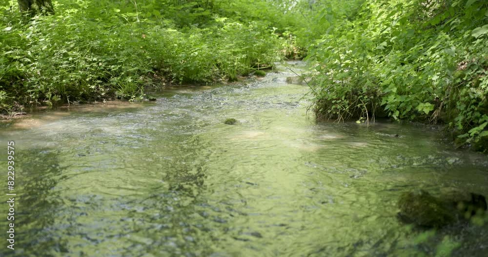 Beautiful sunny stream with green plants on river bank. Slow motion. Beautiful sunny stream with green plants on river bank. Slow motion.