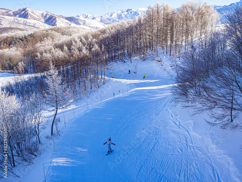 スキー場　ゲレンデ風景　長野県白馬村