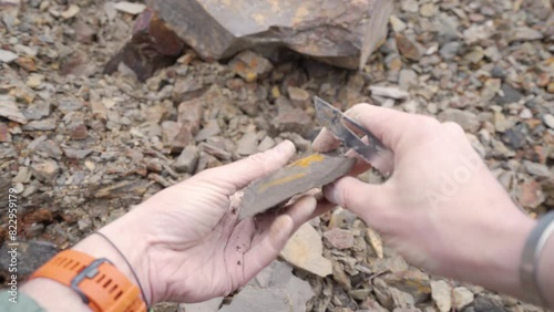 Hands of a Male Amateur Paleontologist Looking for Fossiles in Moler Rock Formation with a Knife photo