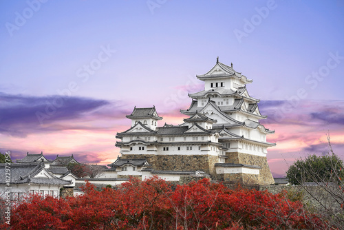 Himeji Castle and red maple leaves in autumn and sunlight in the evening sky in Himeji city Hyogo Prefecture of Japan.