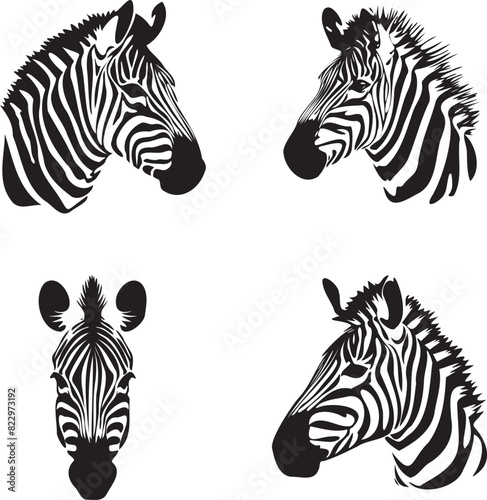 Graphic set of zebra on white background 