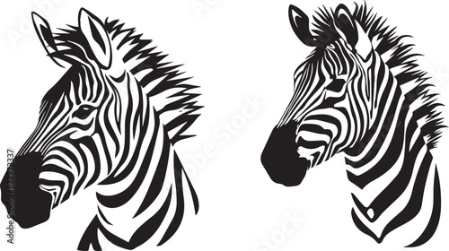 Graphic set of zebra on white background,