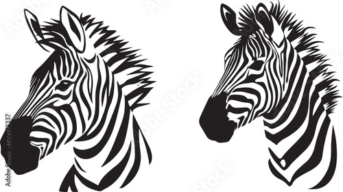 Graphic set of zebra on white background 