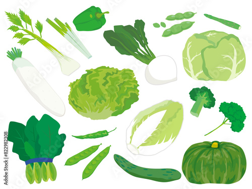緑の野菜セット
