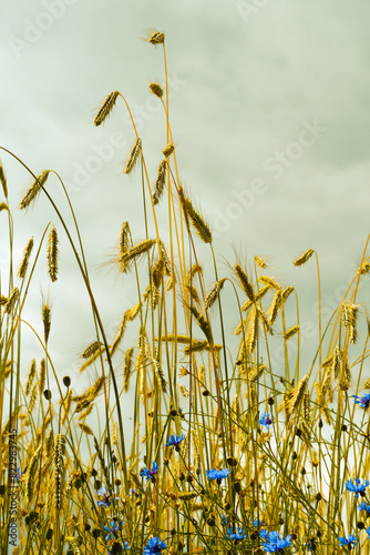 Sommer220524b