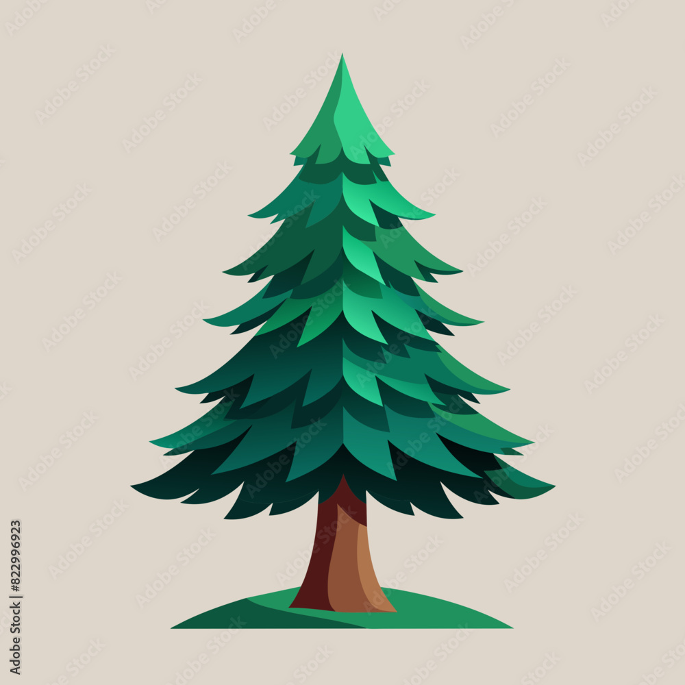 Pine tree vector illustration Pine tree vector illustration