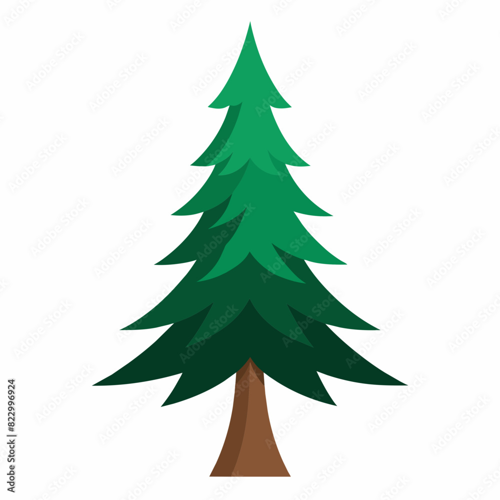 Pine tree vector illustration Pine tree vector illustration