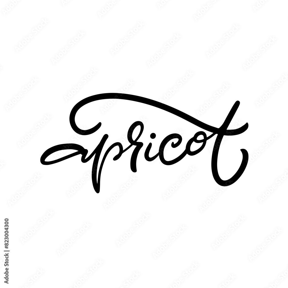 Apricot Calligraphy Word Black Ink Hand Written Isolated in black and white color scheme Apricot Calligraphy Word Black Ink Hand Written Isolated in black and white color scheme