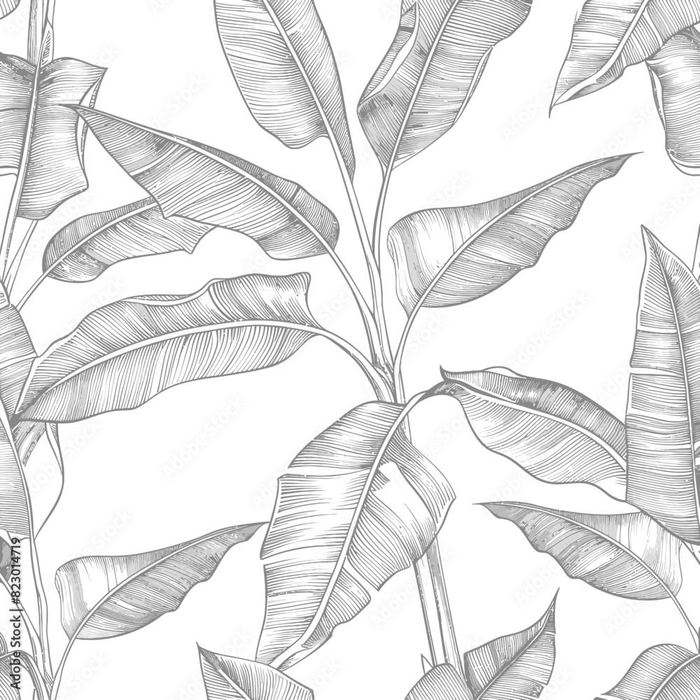 a black and white drawing of a plant a black and white drawing of a plant