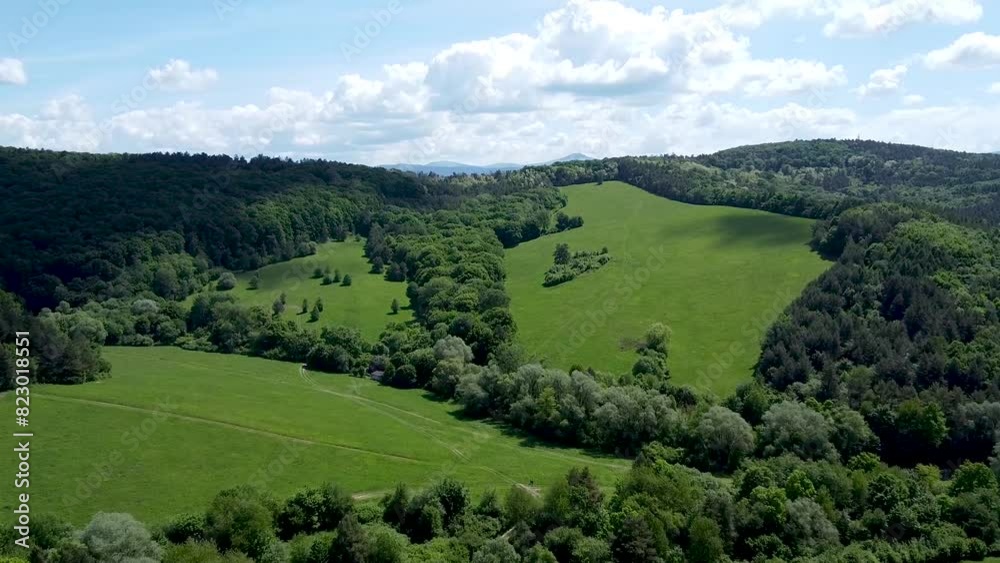 Aerial drone view of green forest with meadow and forest path Aerial drone view of green forest with meadow and forest path