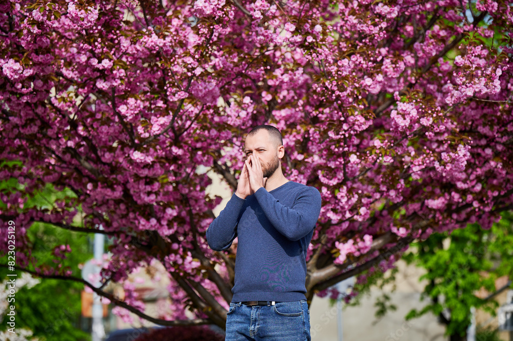 Man allergic suffering from seasonal allergy at spring in blossoming garden at springtime. Bearded young man sneezing and having runny nose in front of blooming tree. Spring allergy concept. Man allergic suffering from seasonal allergy at spring in blossoming garden at springtime. Bearded young man sneezing and having runny nose in front of blooming tree. Spring allergy concept.