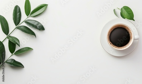 fresh green leaves and coffee cup on white background