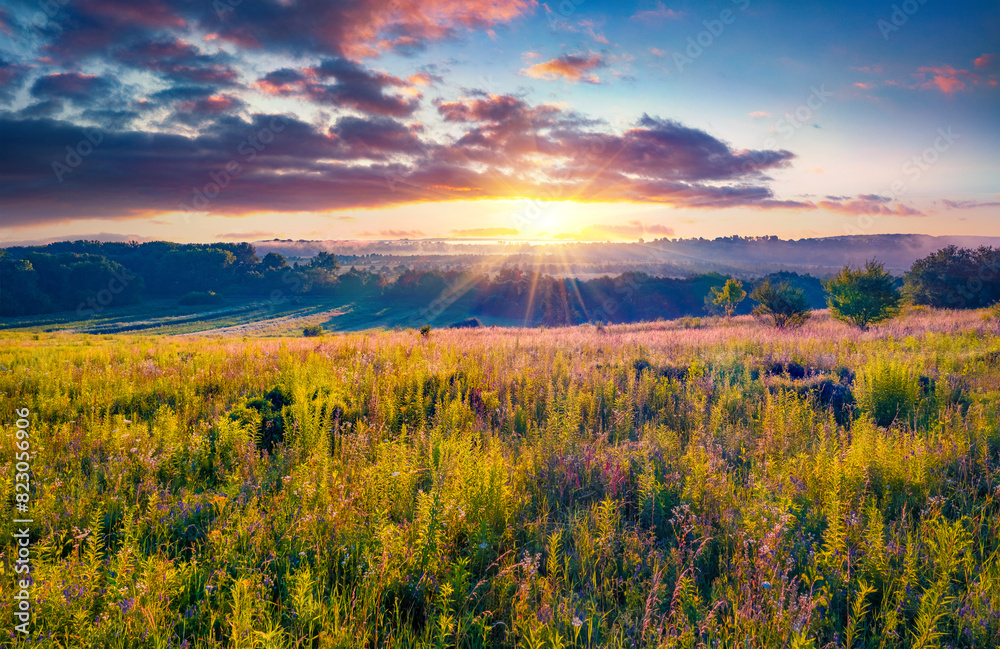 First sunlights light green grasland at the a morning. Amazing summer scene of misty pasture, Ternopil town, Ukraine, Europe. Beauty of countryside concept background.. First sunlights light green grasland at the a morning. Amazing summer scene of misty pasture, Ternopil town, Ukraine, Europe. Beauty of countryside concept background..