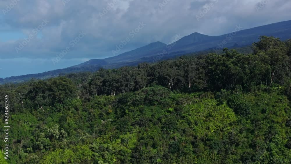 Telephoto panoramic aerial of tropical cliffside and sloping hills on the north shore of Maui Telephoto panoramic aerial of tropical cliffside and sloping hills on the north shore of Maui
