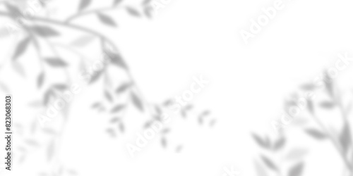 Fototapeta Naklejka Na Ścianę i Meble -  Blurred and gradient background of tree leaves. Natural pattern, gray shadow. Copy space  and transparent background with png