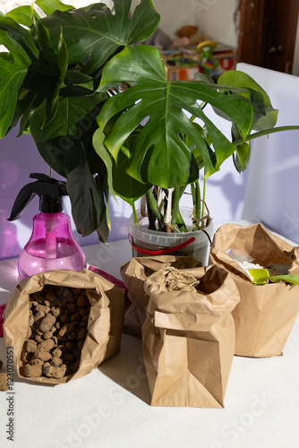 Neatly arranged on a table are several brown paper bags containing various plants such as houseplants, trees, and herbs