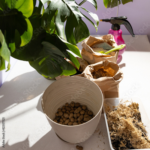 A bowl filled with beans rests on a table beside a potted plant, showcasing a blend of natural ingredients and adding a touch of greenery to the setting