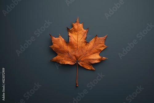 Maple Leaf Beauty