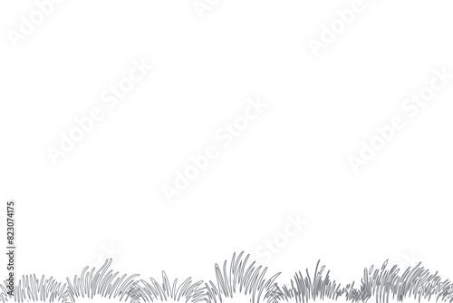 doodle sketch line art wild grass, grassland and weeds