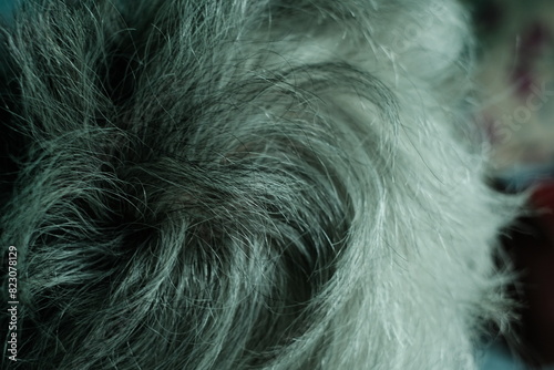 Wallpaper Mural background image of The hair of the elderly has started to turn gray. Torontodigital.ca