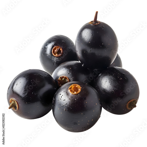 jambul on transparent png background
