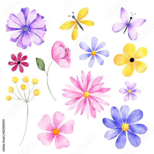 Flowers  leaf and butterflies digital illustration  spring design  watercolor hand painting. Perfectly for printing  sublimation.