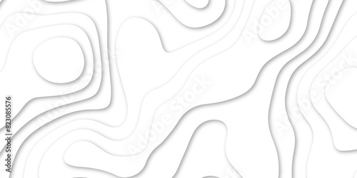 Abstract luxury white modern 3d papercut, topography map circle and wave line smooth multilayer pattern.  topographic canyon geometric map relief texture with curved layers and shadow.