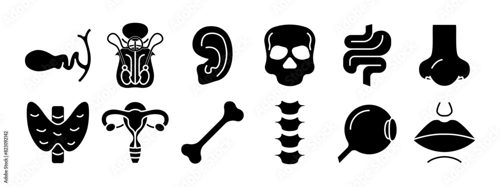 Obraz premium Human anatomy set icon. Gallbladder, reproductive organs, ear, skull, intestine, nose, thyroid, uterus, bone, spine, eye, lips. Medicine, biology.