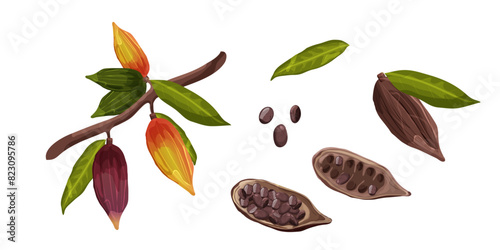 Set of Cocoa beans with leaves isolated on white background. Chocolate cocoa beans. Vector illustration.