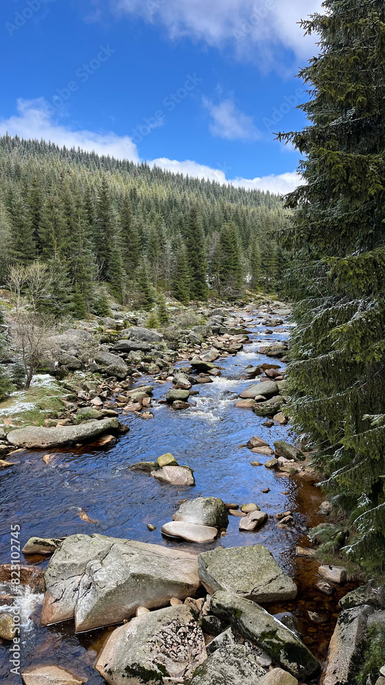 Mountain river Jizera flowing through the Jizera Mountains in the Czech Republic Mountain river Jizera flowing through the Jizera Mountains in the Czech Republic