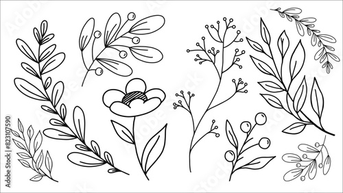 Intricate Botanical Illustrations of Various Leaves and Flowers in Black and White