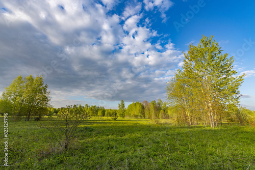 Scenic view of a grassy field. Spring landscape with bright and young green grass. Small trees in the background  blue sky with clouds above the horizon.