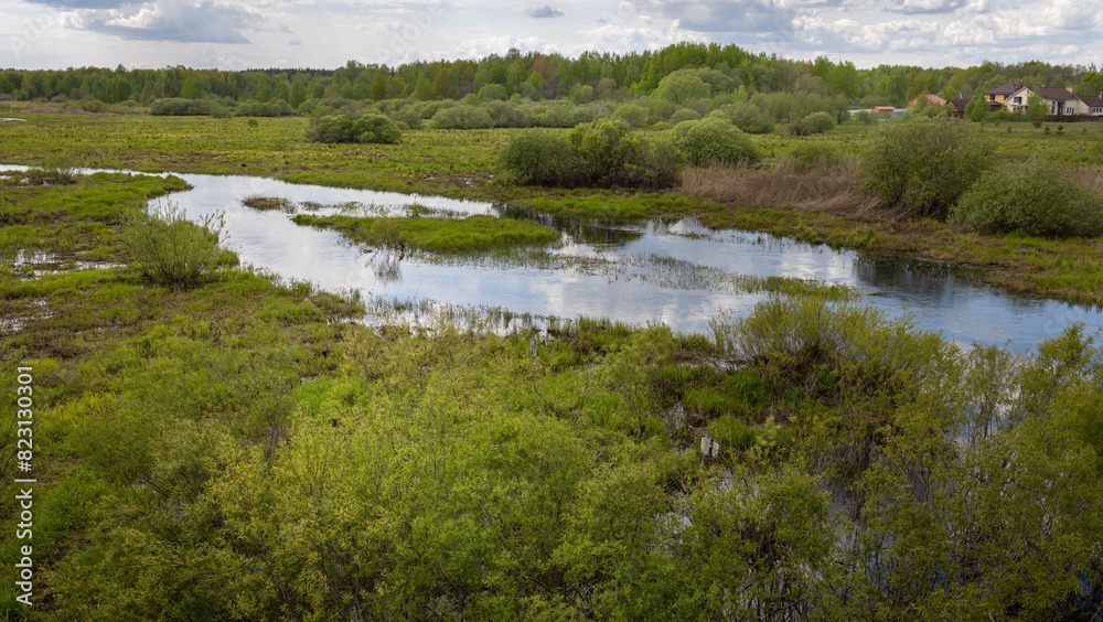 A wetland ecosystem with a meandering river, lush greenery, and reflective water, showcasing the tranquility and biodiversity of nature's wilderness