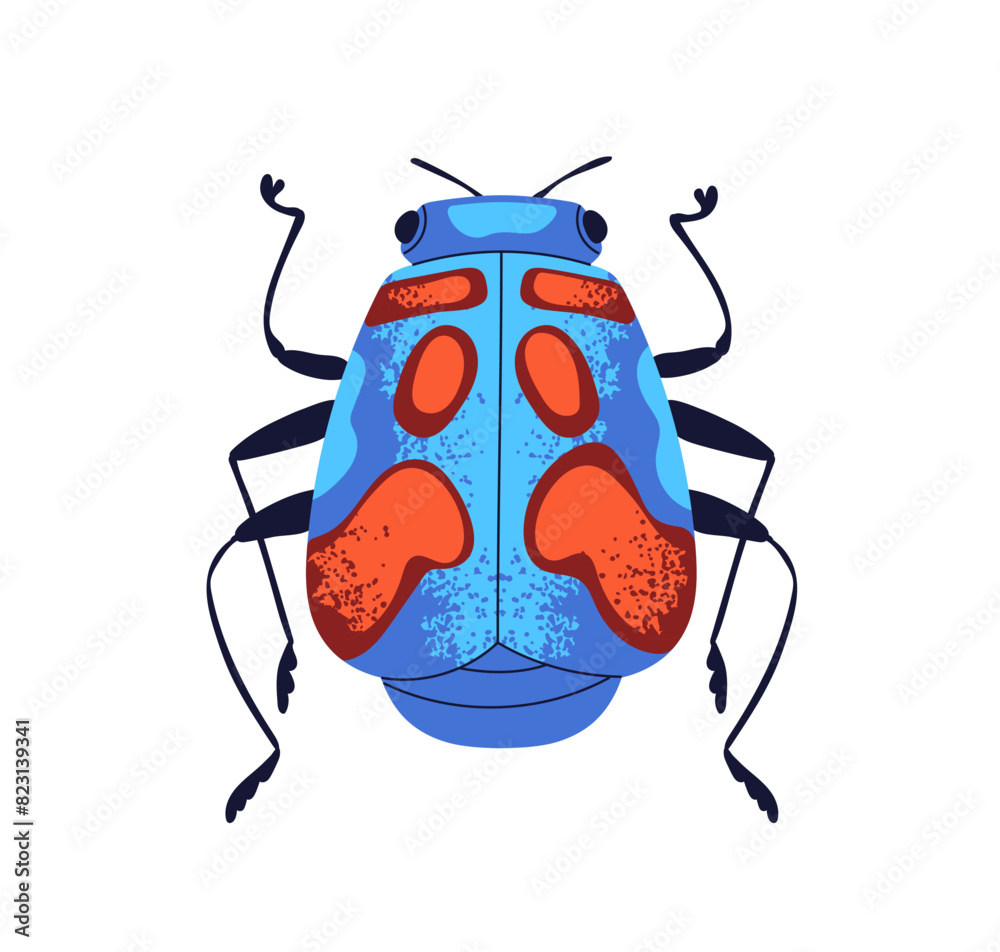 Hibiscus harlequin bug, top view. Colorful bright spotted beetle. Fancy ...