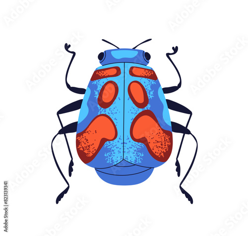 Hibiscus harlequin bug, top view. Colorful bright spotted beetle. Fancy forest fauna species icon, insect clip art. Flat graphic vector illustration isolated on white background