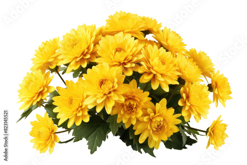 Sunshine Symphony: A Bouquet of Yellow Flowers on Transparent PNG Background.