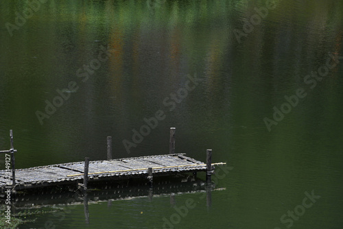 Bamboo dock in a green lake