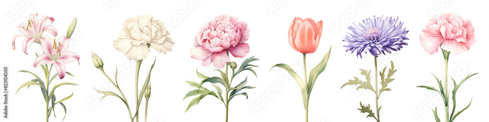 Pastel Flower png element set on transparent background Pastel Flower png element set on transparent background